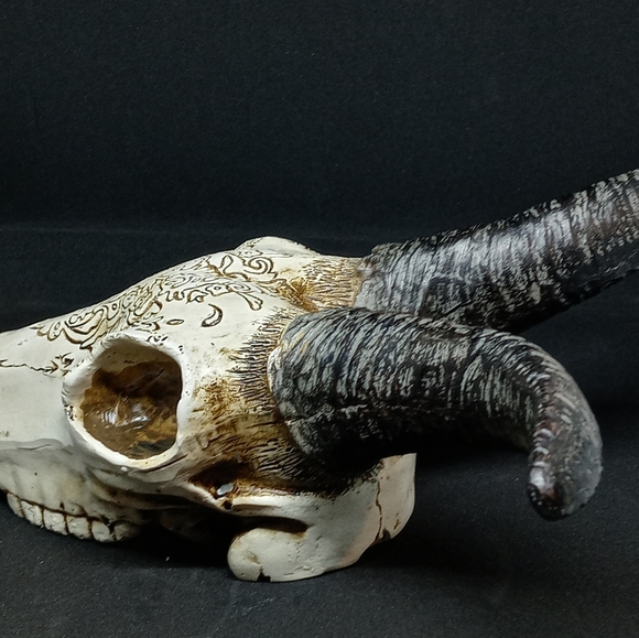 Skull - Picture 3 of 4